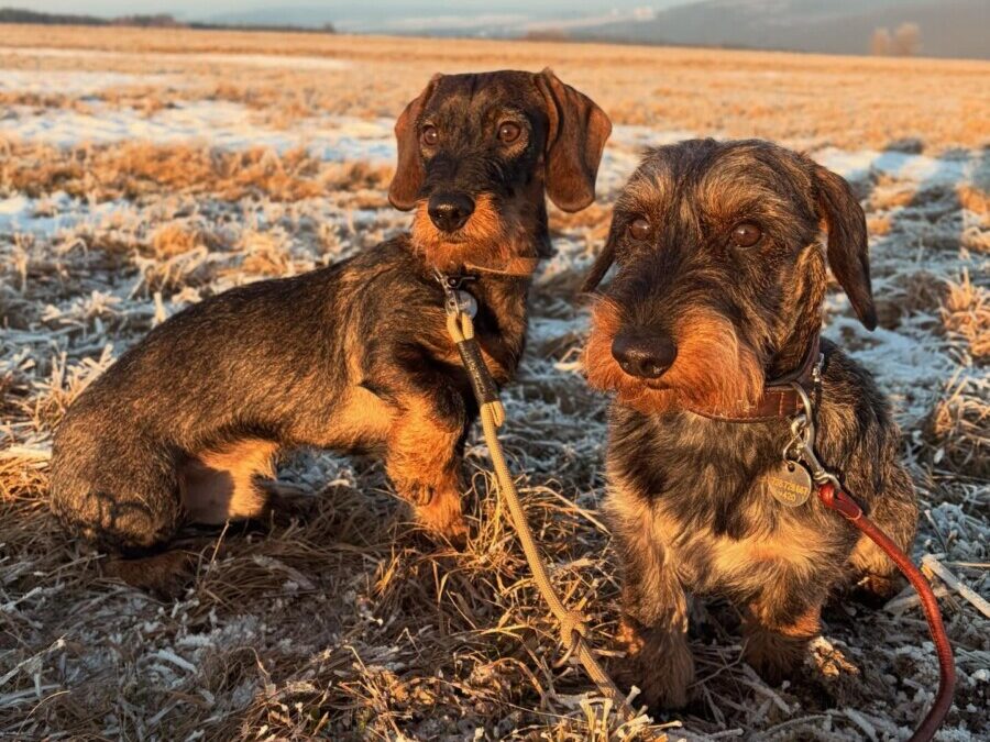 Nácviky na ZN – norování