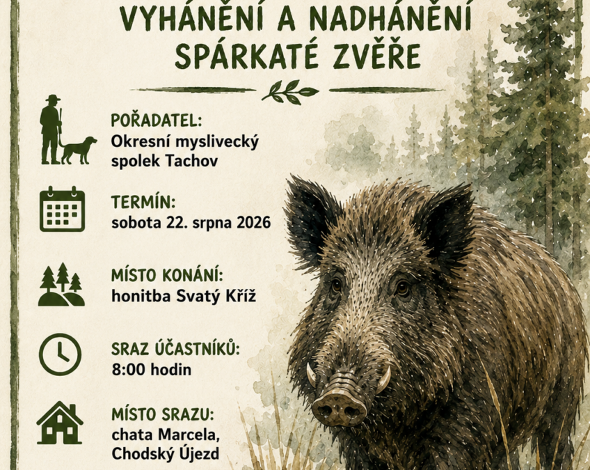 ZVVZ 22.08.2026